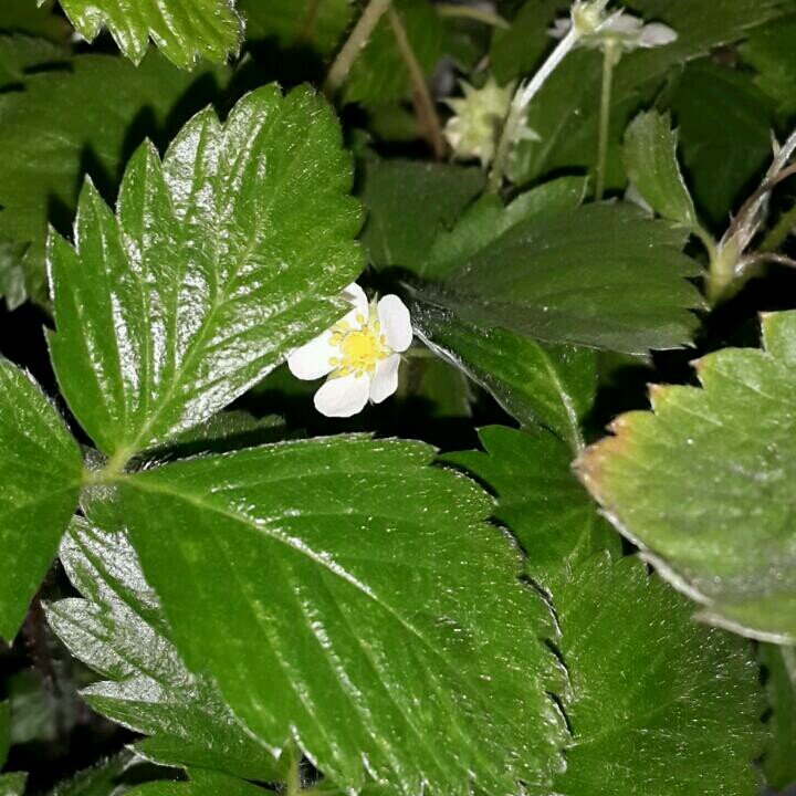 eco24687's profile picture. 