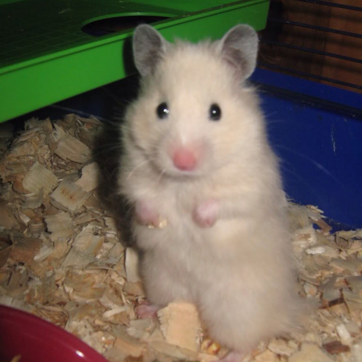 Suki_helpmedan's profile picture. Daniel.I know you're in there.I've been wondering where you have been.