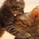 Heidi Gran - @Hjgran - Twitter