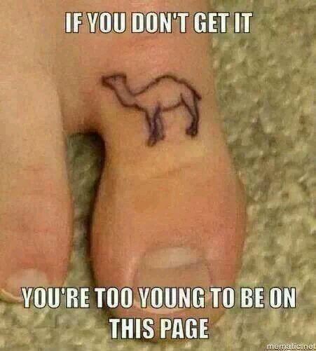 camelback007's profile picture. 