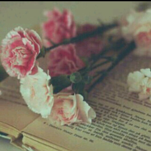 ٲٲحببت الحياةَ التي رسمتهاا بِ مخيلتـي..