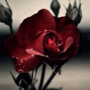 مغلق لوجه الله (@0595192211) Twitter