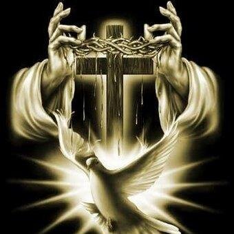 jose68manuel's profile picture. 