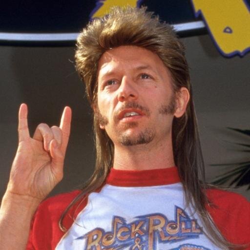 Image result for joe dirt