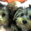 Cheryl Pringle - @ccheryl3 - Twitter