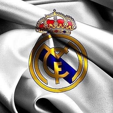 _diboss's profile picture. 