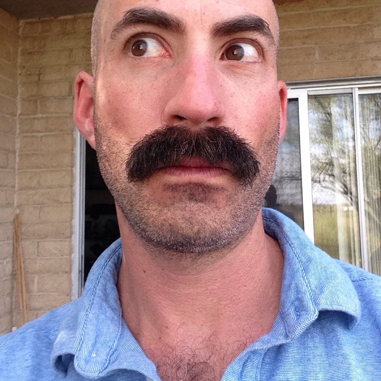 Todd Fooks