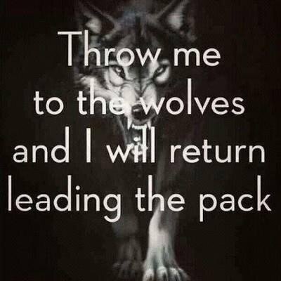 king_jonn's profile picture. I am a huge sports fan, mainly football and motor-sports.