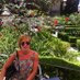 Maire Caulfield (@mairecaulfield) Twitter profile photo