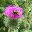 Meghan McLean - @McLeanMeghan - Twitter