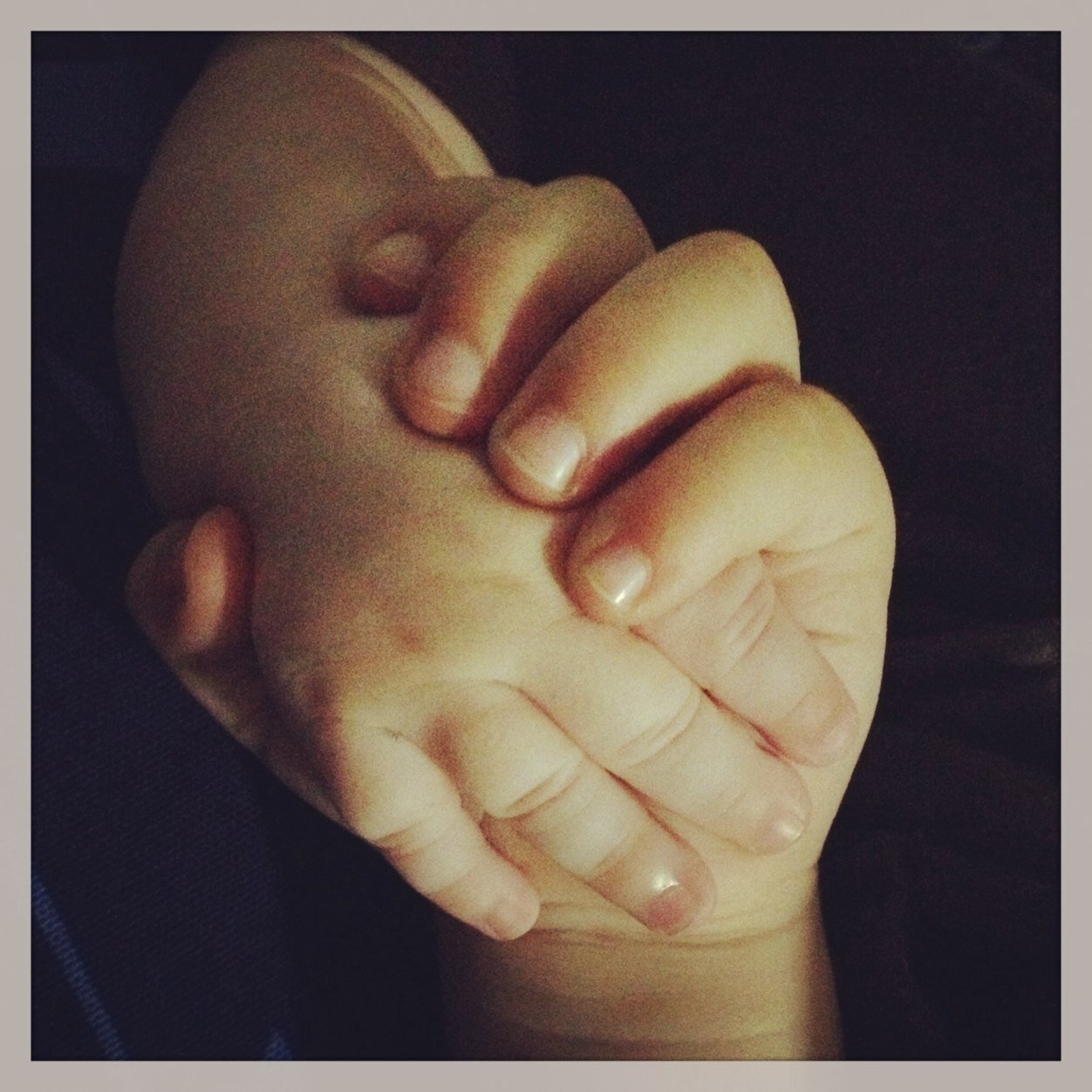 ardilla1501's profile picture. 