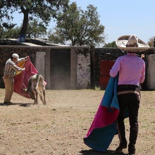¿Para qué ser malo en un solo deporte, si se puede serlo en tres? ¡Soy triatleta!