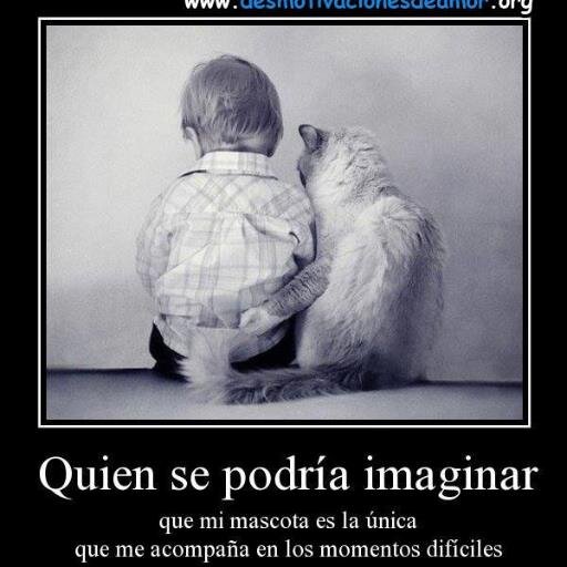 camilaa97689103's profile picture. 