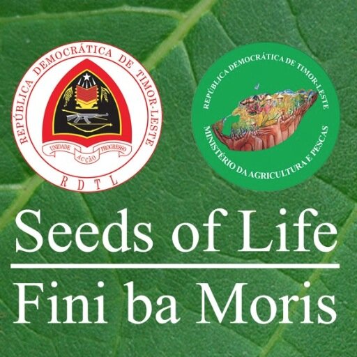 reducing hunger - improving crop yield - through the use of improved varieties of staple food crops - rice, maize, cassava, sweet potato, peanuts