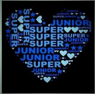 Only super junior!!!