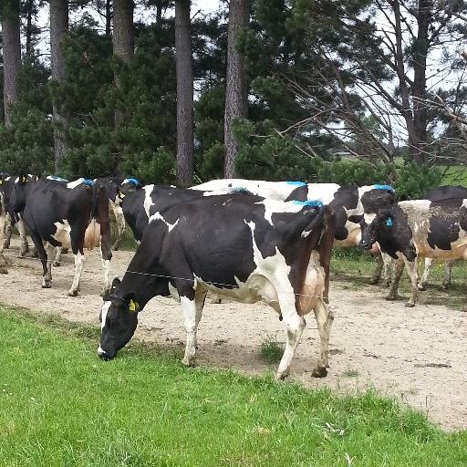 farm_mgt's profile picture. Farm management research