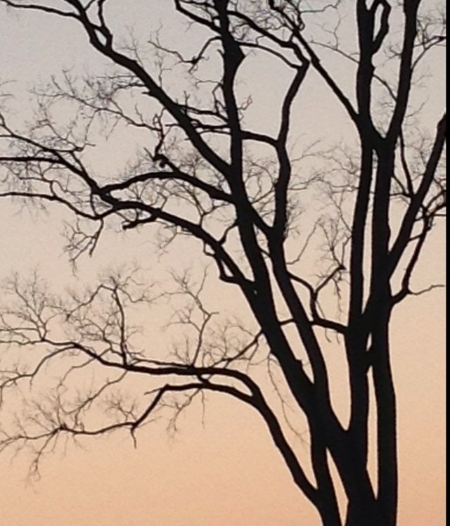 c_steph02's profile picture. 