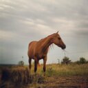 Aiden Kramer - @aidenkramer93 - Twitter