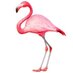 Flamingo Park WPB (@flamingoparkwpb) Twitter profile photo