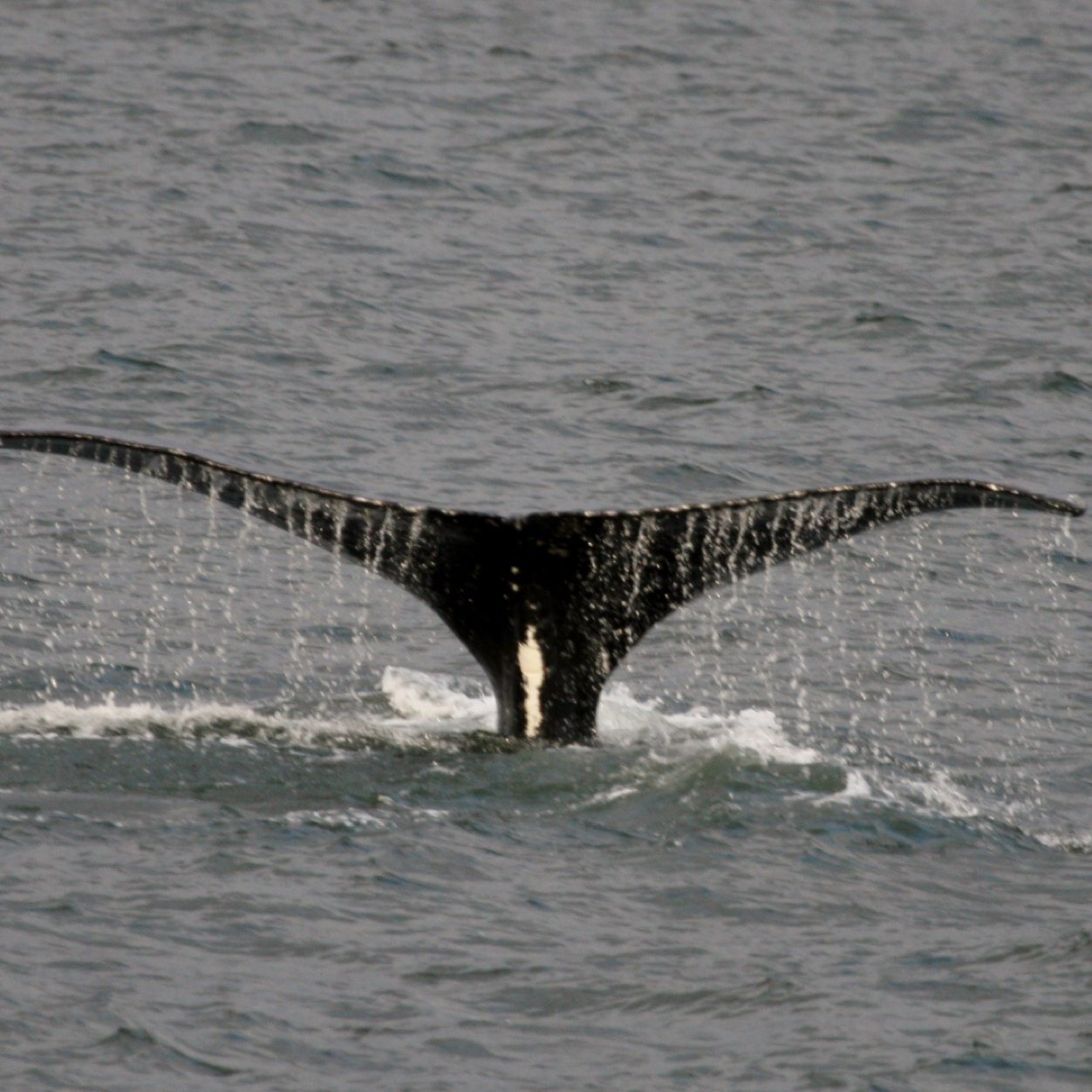 conway342's profile picture. 