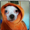 Alysia Johnson - @1LuckyPuppy - Twitter