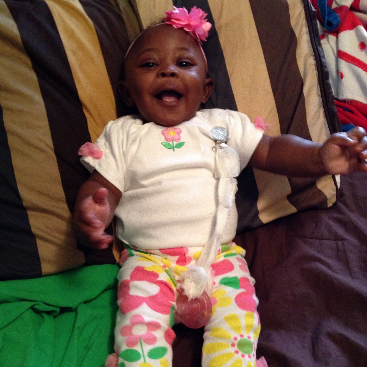 Braysia