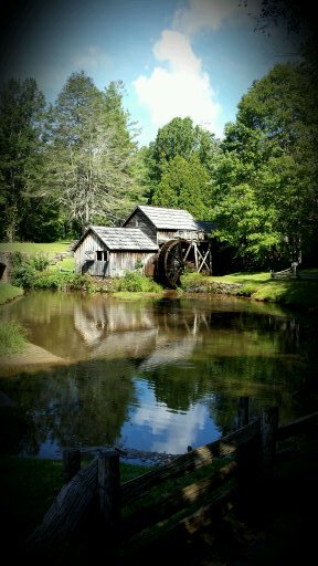 cruella62's profile picture. 