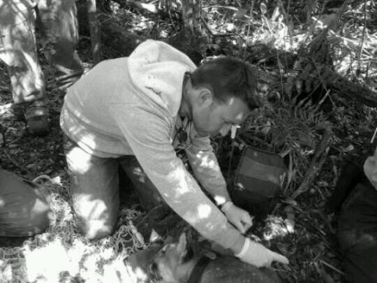 Zoo/Wildlife Veterinarian for Zoo Miami Conservation and Research Department