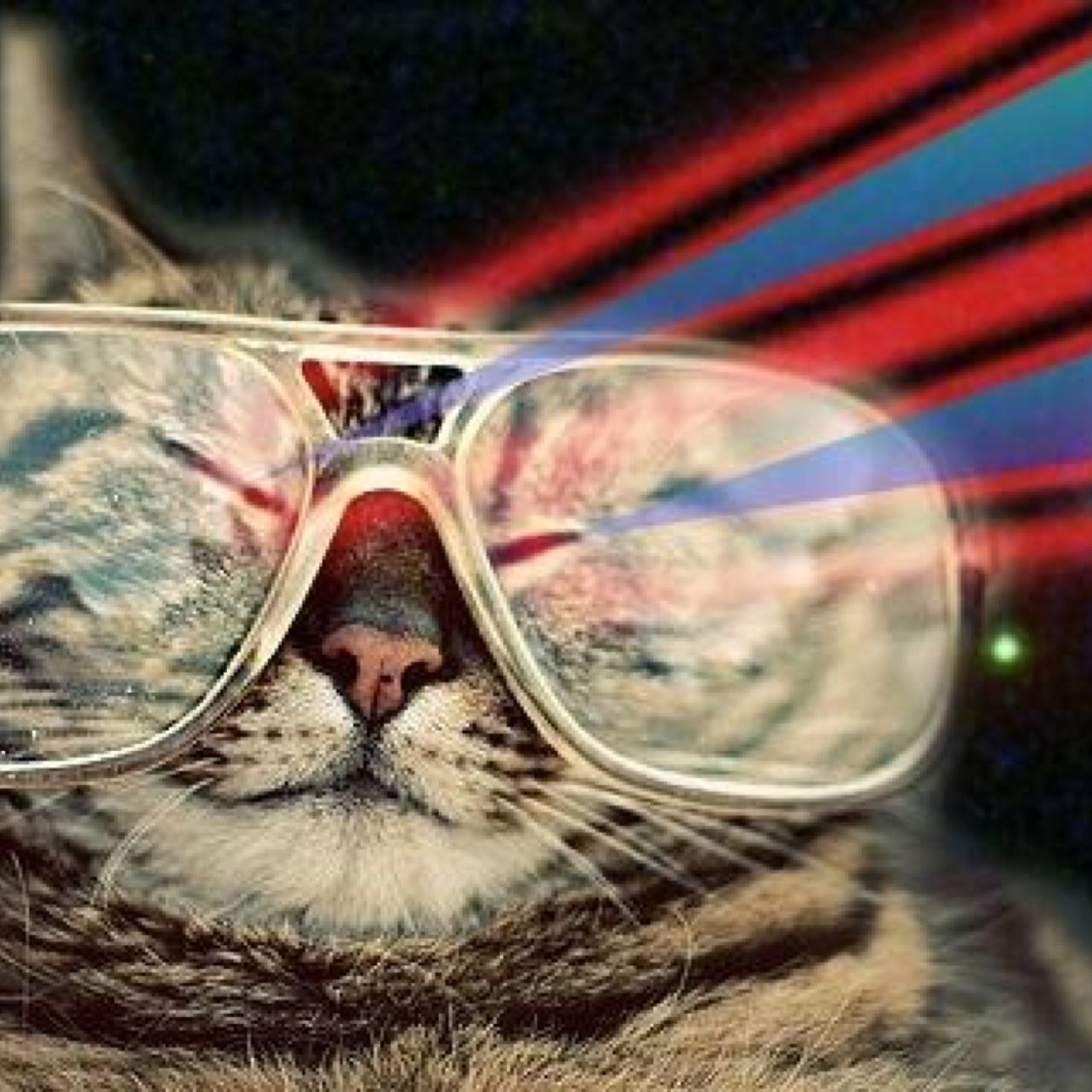 Rocket ship builder, Olympian Kitty Cat, Explorer, and all of the above! ;)