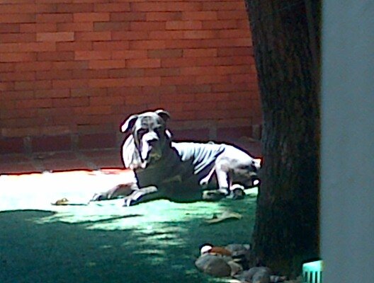 yessicadfg's profile picture. 