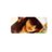 OULIPS's profile image