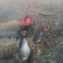 Brandon Roth - @gooseman47 - Twitter