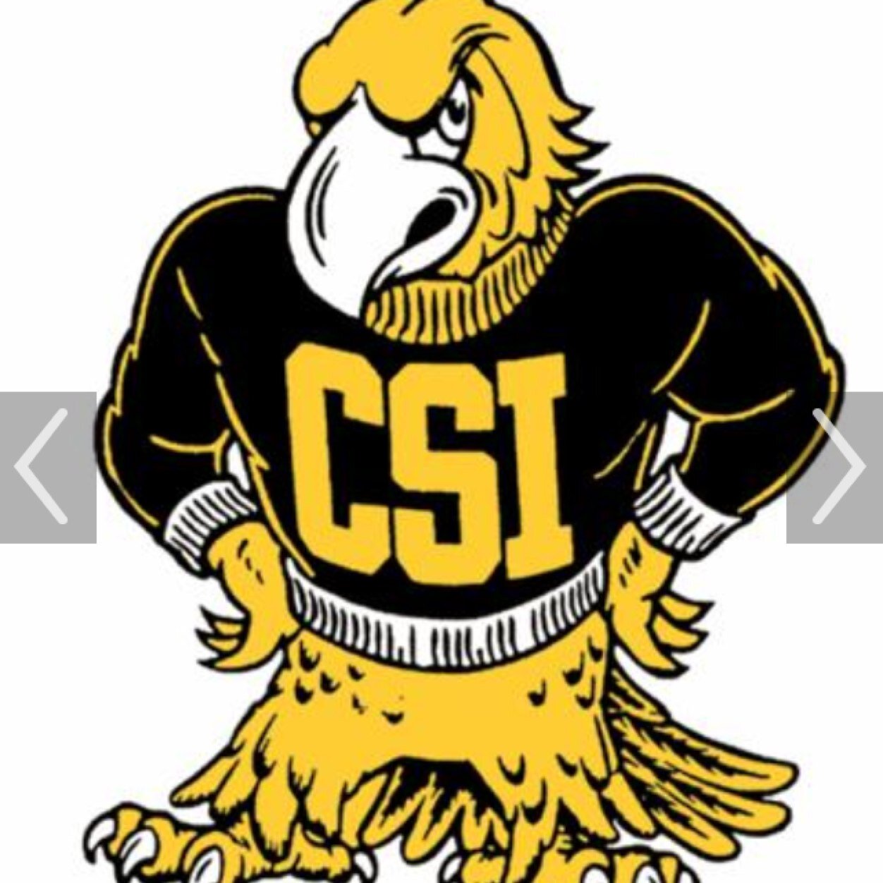 CSI Baseball Profile
