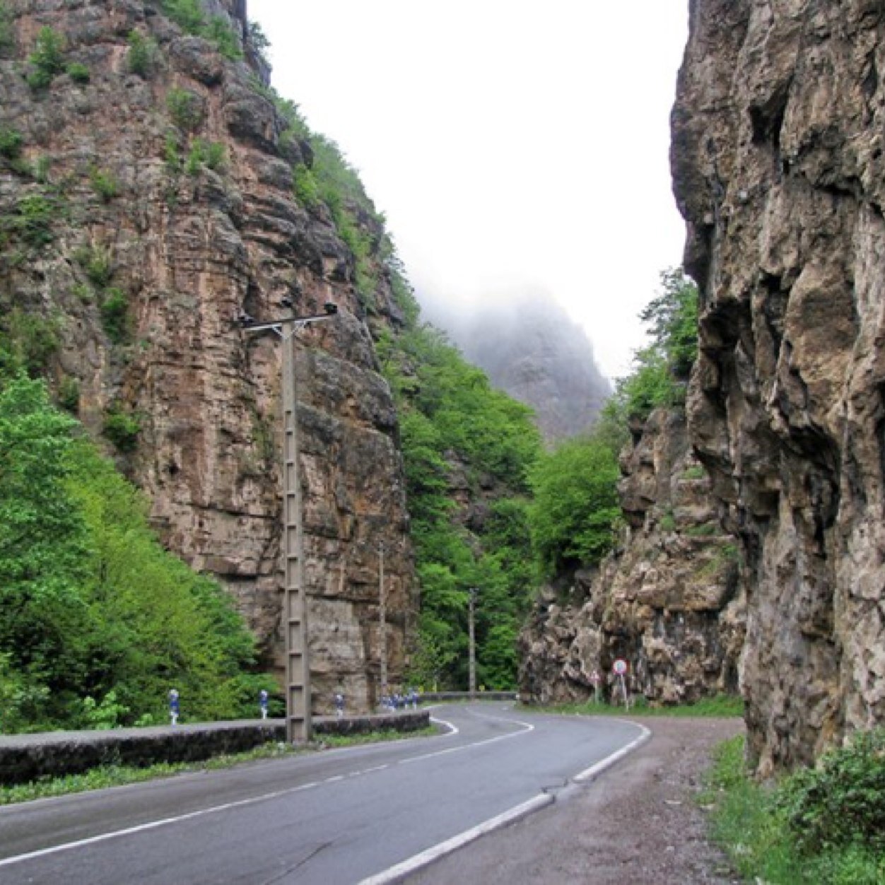 majidhnouri's profile picture. 