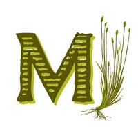 Manasseh Local Food (@manassehlocal) 's Twitter Profile