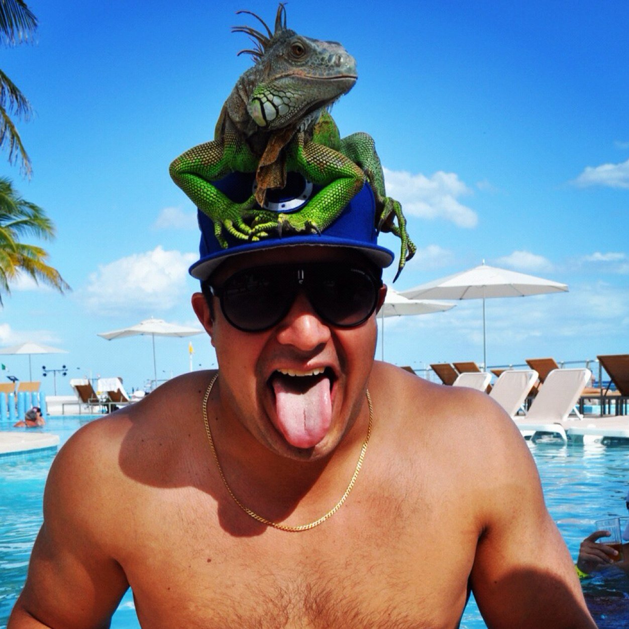 jcardenas711's profile picture. 🏈 & 🍺