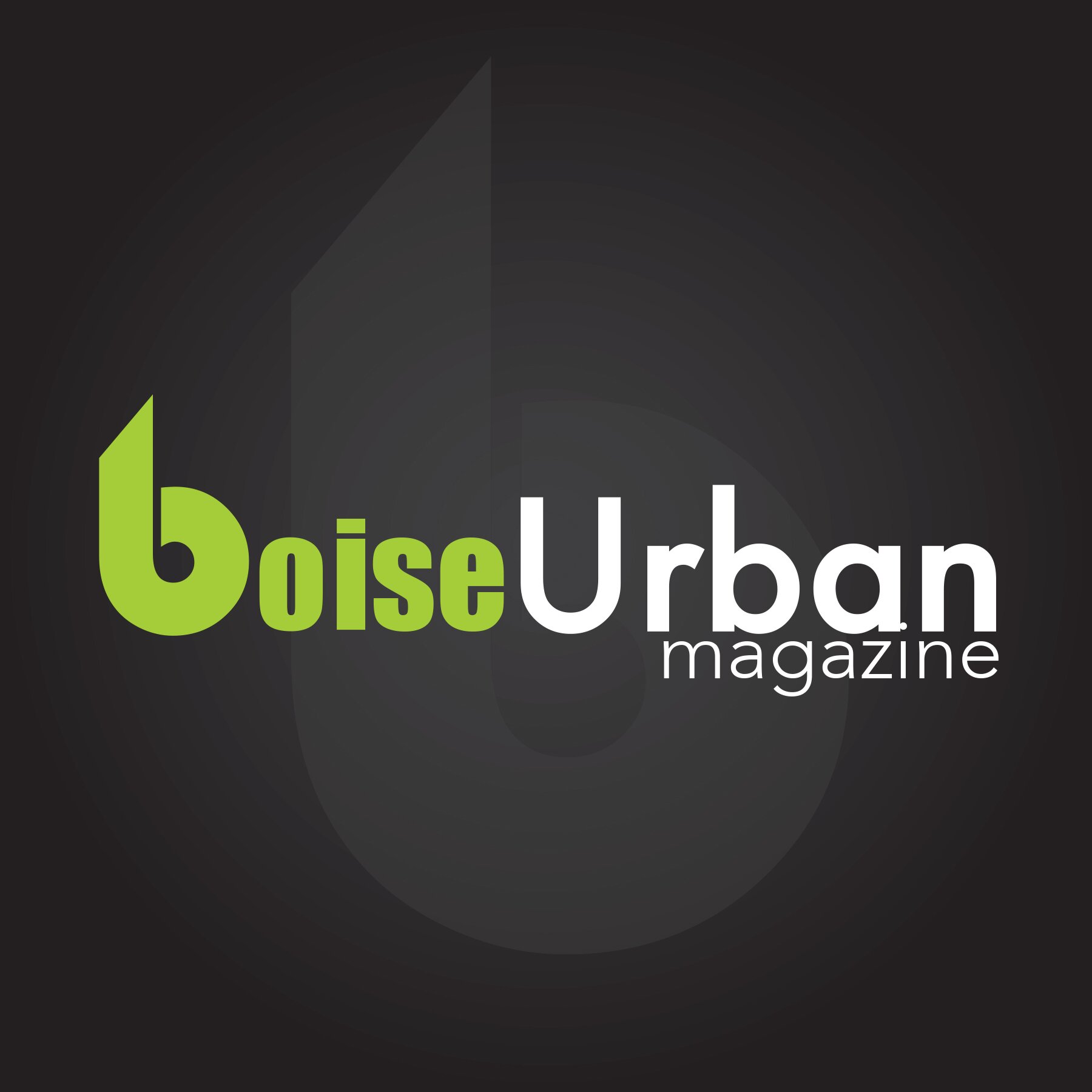 Boise's multimedia-driven, interactive journalism.