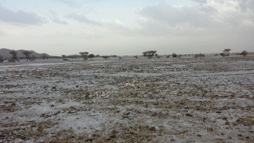 ‏‏‏‏مطارد امطار