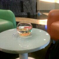 Iyang25 (@ilham2504) 's Twitter Profile