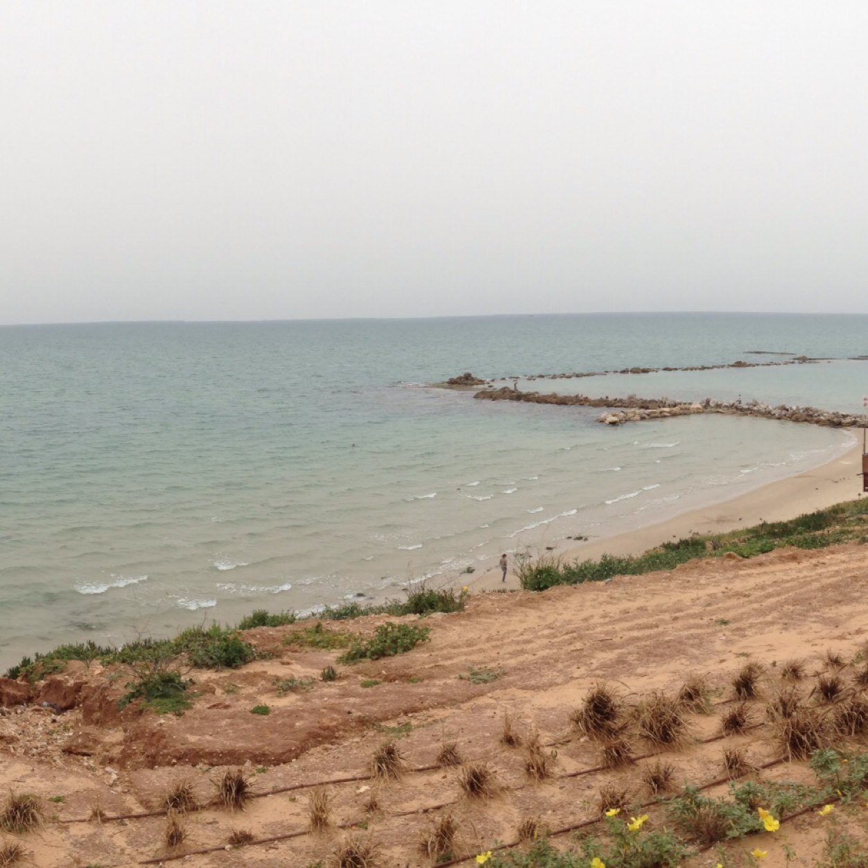 bumblebee70's profile picture. 