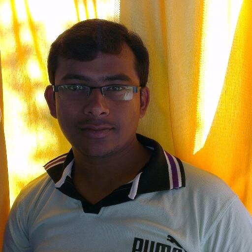 Software Developer