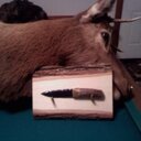 Mark Greenley - @greenley04 - Twitter