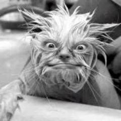 ines_gerald's profile picture. 