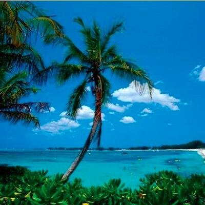 NassauNuts's profile picture. College 🏀 Brackets pool-#22. World Cup ⚽️ pool-#5. The Lima Line KY Derby 🏇 picks-#22.