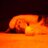 ogih1990's profile image