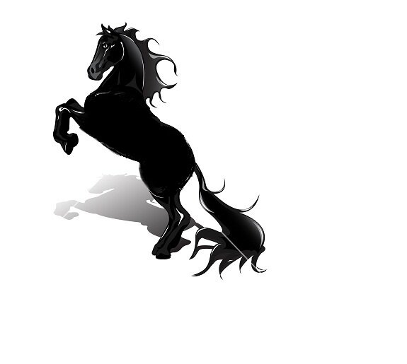 Effective marketing solutions and promotional strategies.
