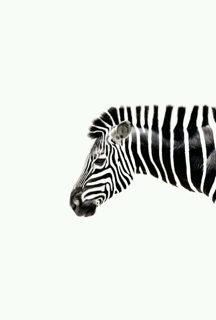 Follow us for great accommodation specials, last minute deals and tourism news! We are an online and social media agency specialising in travel and tourism.
