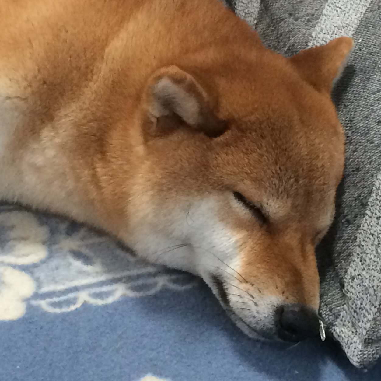 FumanFuman's profile picture. 大成中・高／理科大・工学・機械工・山本研／モータースポーツ／旅行／登山／スキー／HR/HM／ワイン／愛知出身／J.S.A.認定ワインエキスパート／乗馬