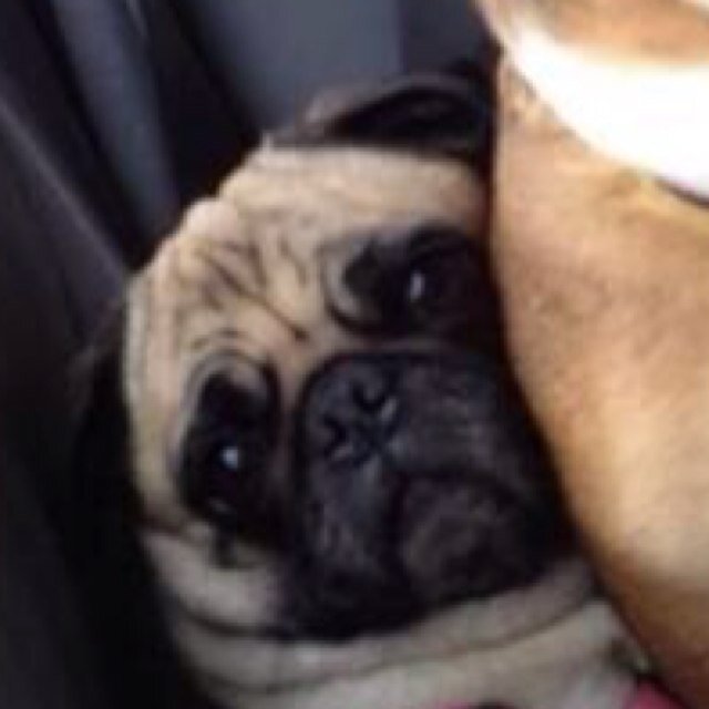 dazmatazz7's profile picture. I like movies and football. Thats about it.