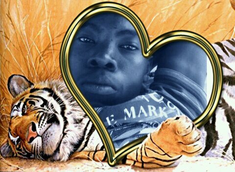 sonkocylussc's profile picture. 